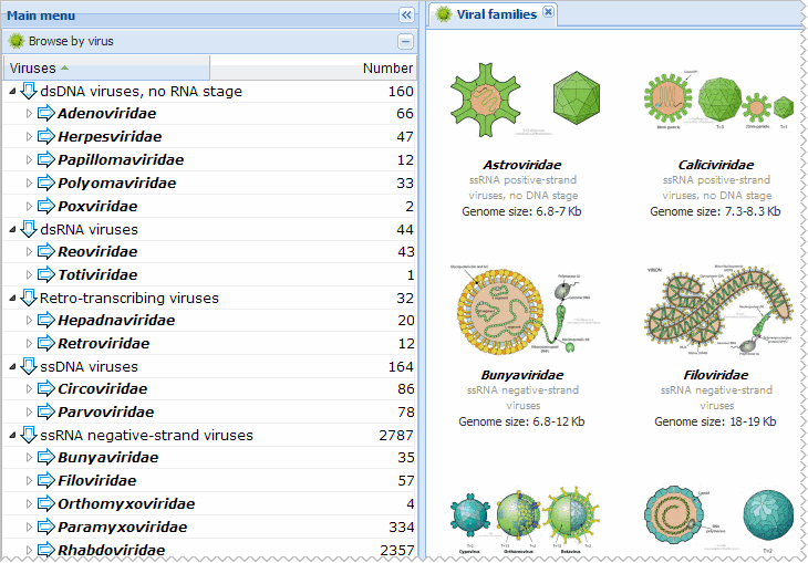 Virus Size Chart