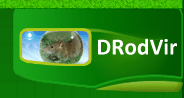 DRodVir