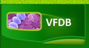 VFDB
