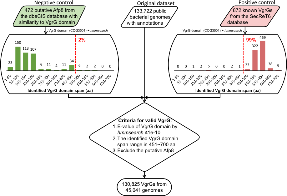 VgrG identification pipeline